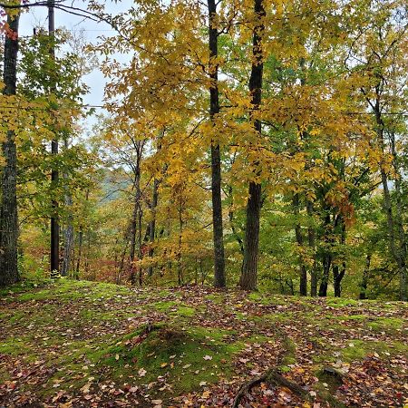 Bears Hideaway Villa Pigeon Forge Bagian luar foto